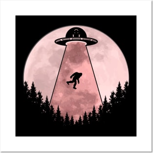 Bigfoot Ufo Abduction Posters and Art